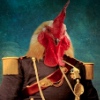 drhoff Image